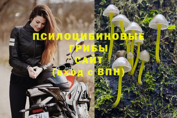 скорость Алексеевка