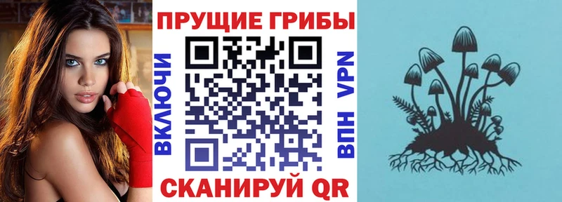 Псилоцибиновые грибы прущие грибы  Подольск 