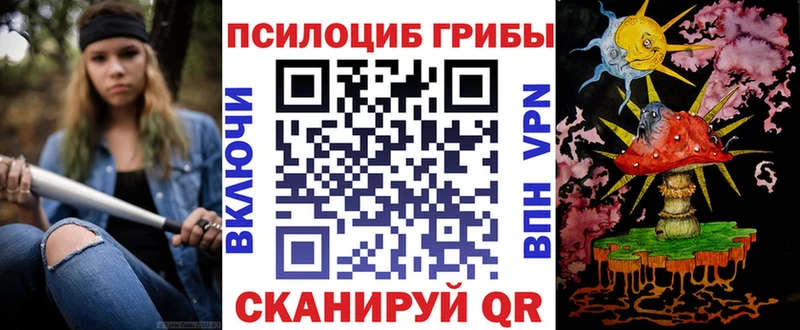 Галлюциногенные грибы Psilocybe Подольск