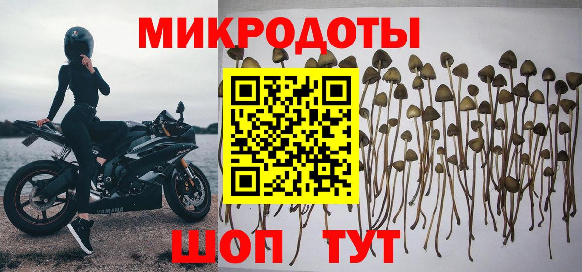 Псилоцибиновые грибы ЛСД Подольск