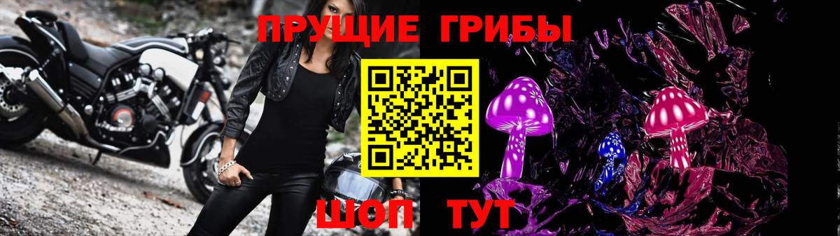 Подольск  Галлюциногенные грибы Cubensis  Вход с VPN 